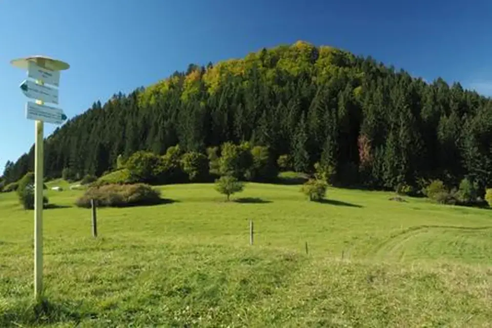 Výsadzba stromčekov 13.4.